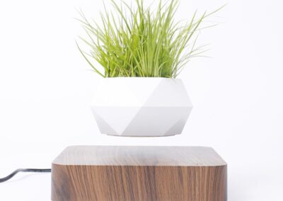 Levitating Air Bonsai Pot Rotation Flower Pot